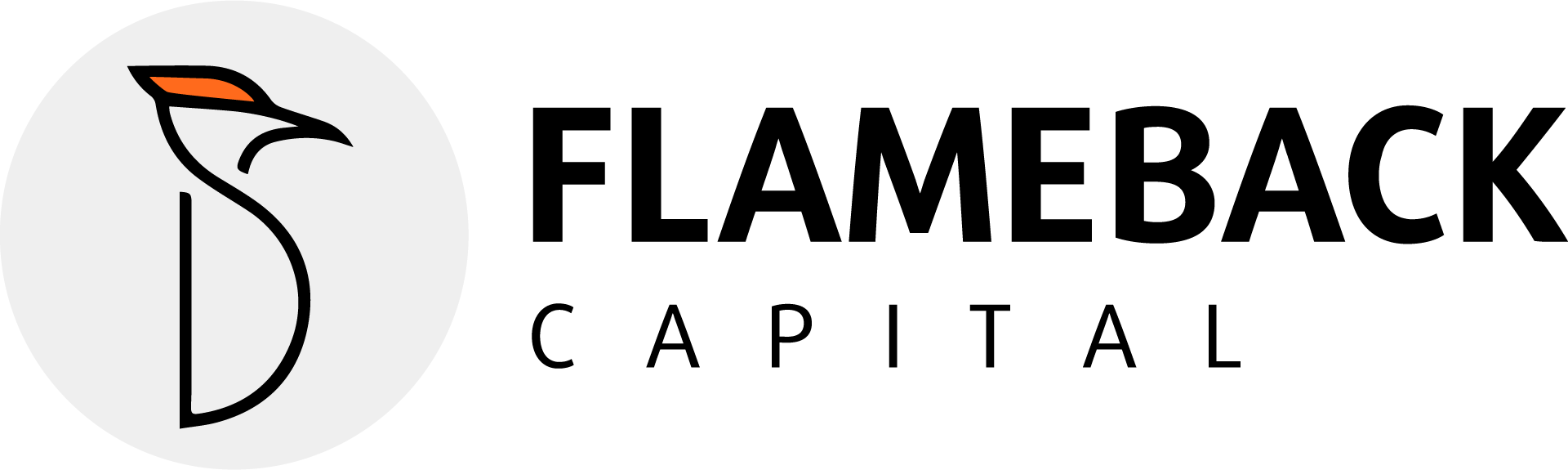 Flameback Capital USA, Inc. logo